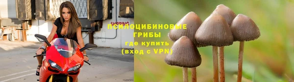 гидра Алексин