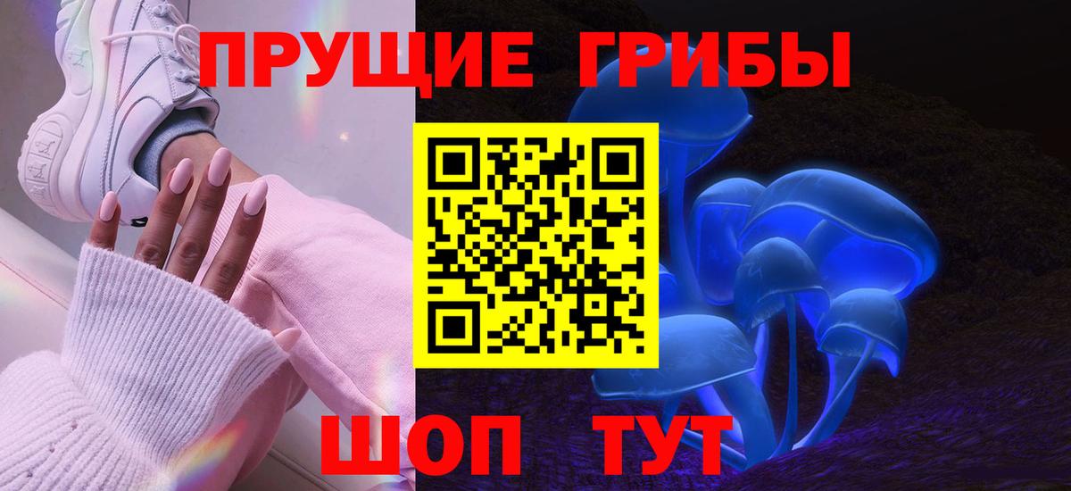 Псилоцибиновые грибы мицелий Архангельск