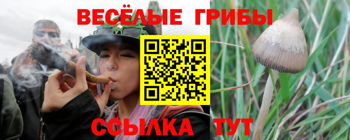 сколько стоит  Вход с VPN  Архангельск  Псилоцибиновые грибы мухоморы  Галлюциногенные грибы ЛСД 